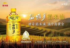 <strong>应正在授权范畴内</strong>